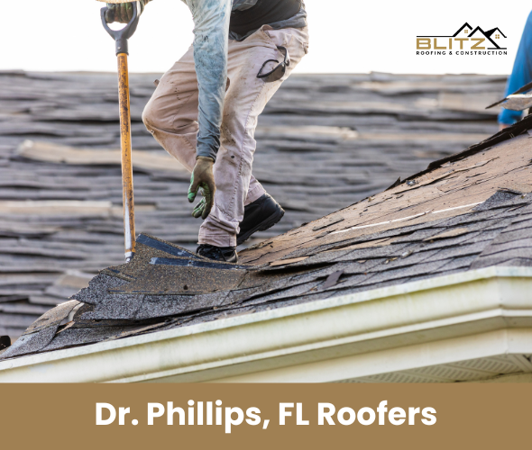 Dr Phillips FL Roofers