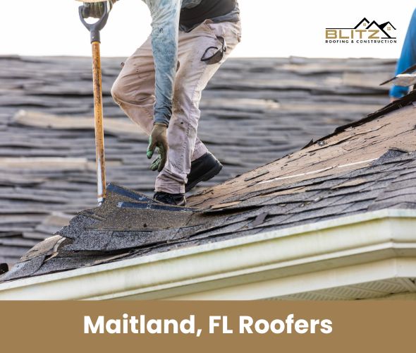 Maitland Roofers