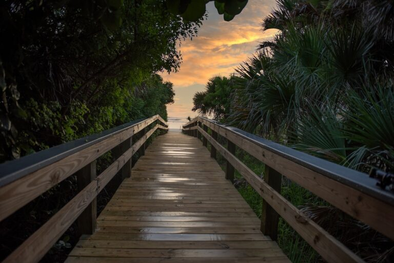 Scenic boardwalk at sunset through Florida palms in Volusia County — Blitz Roofing service area