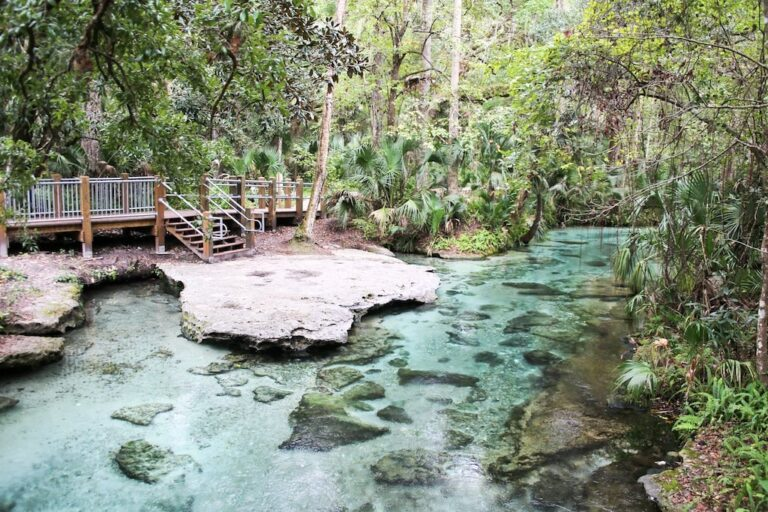 Florida natural landscape — Central Florida roofing service region