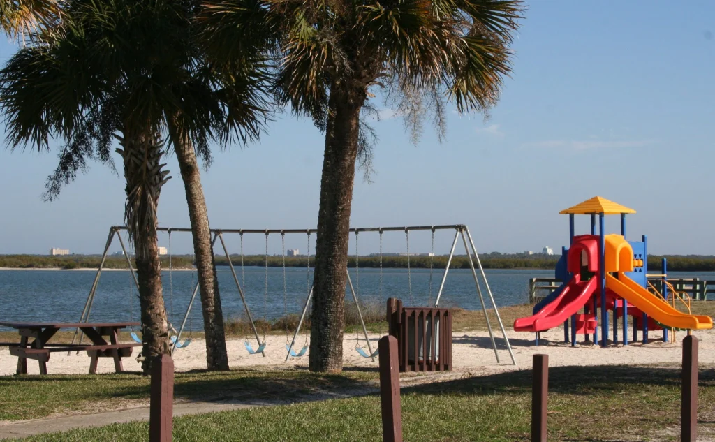 Florida palm trees — Central Florida roofing service area