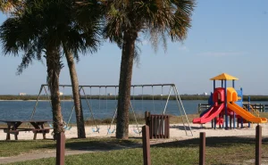 Florida palm trees — Central Florida roofing service area