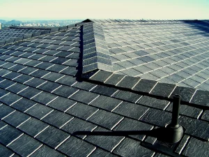 Florida residential home with a well-maintained roof — Blitz Roofing